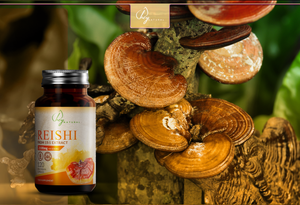 
                  
                    Reishi
                  
                